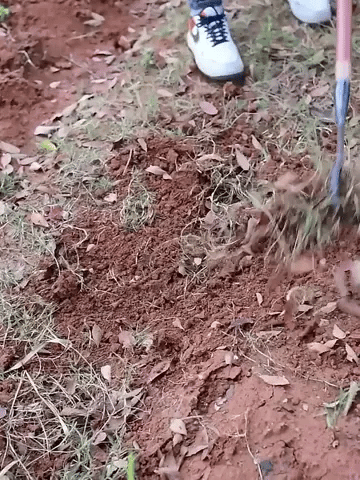 BladeMaster Rake Pro